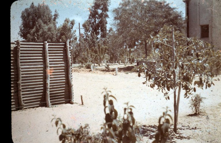 מחנה 1947 קיר טיפוס של הפלמח על יד מגדל המים