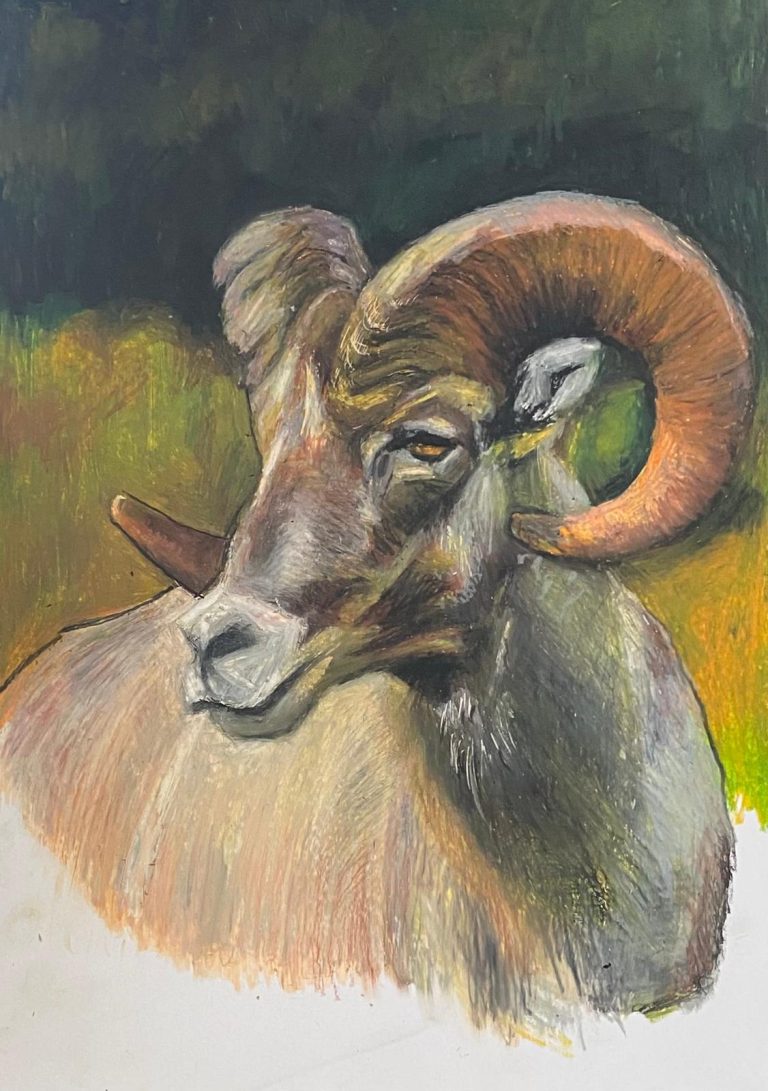 צייר: רן דיוויס