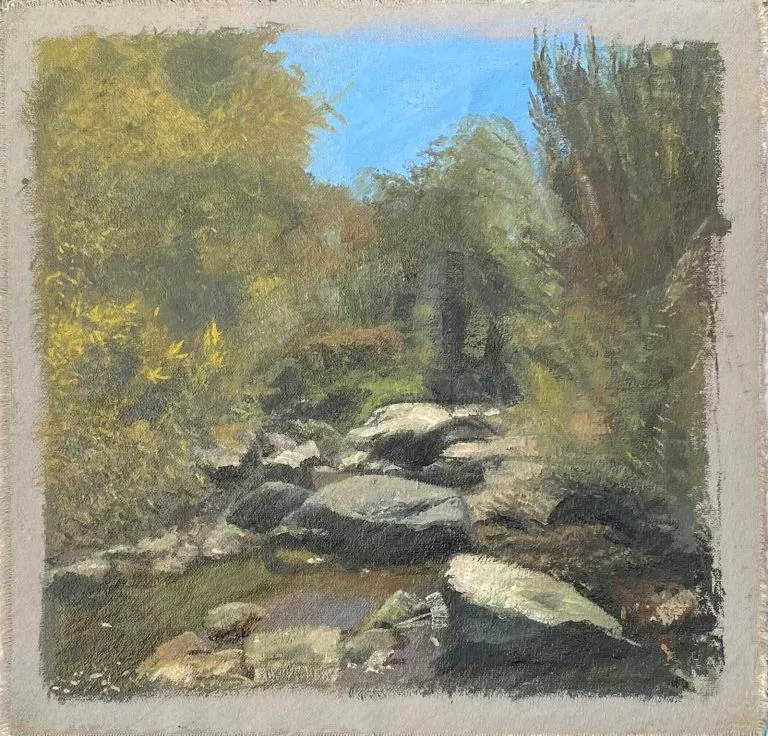 צייר: רן דיוויס