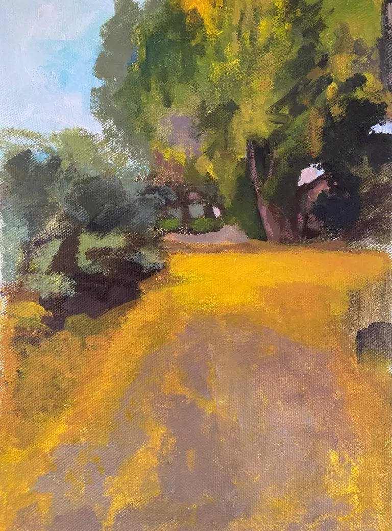 צייר: רן דיוויס