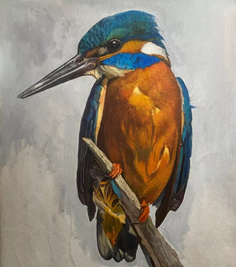 צייר: רן דיוויס