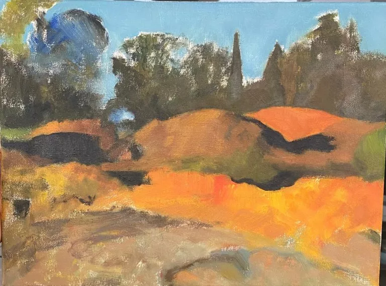 צייר: רן דיוויס