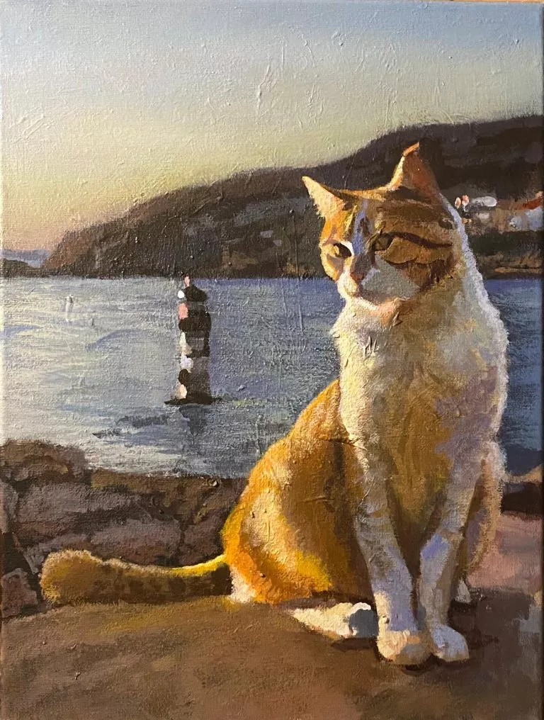 צייר: רן דיוויס