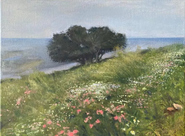 צייר: רן דיוויס