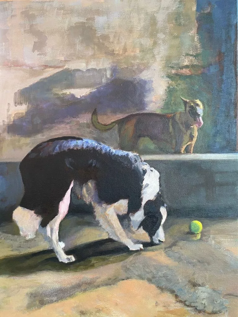 צייר: רן דיוויס