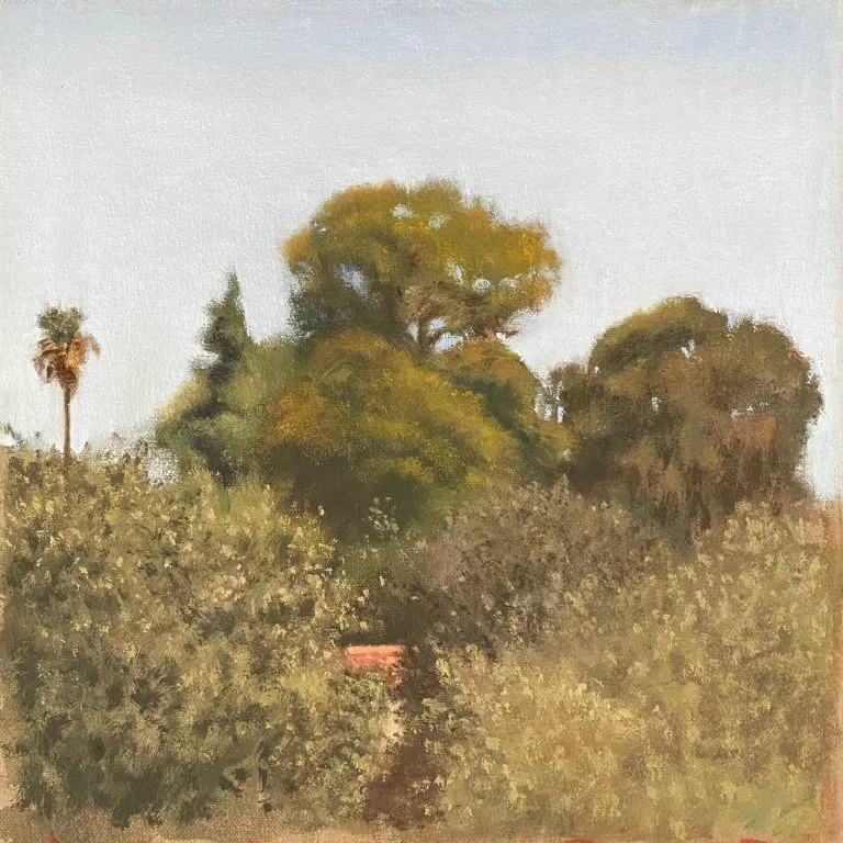 צייר: רן דיוויס