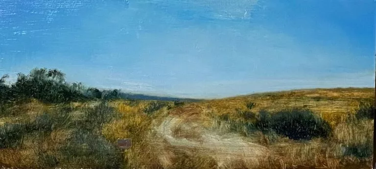 צייר: רן דיוויס