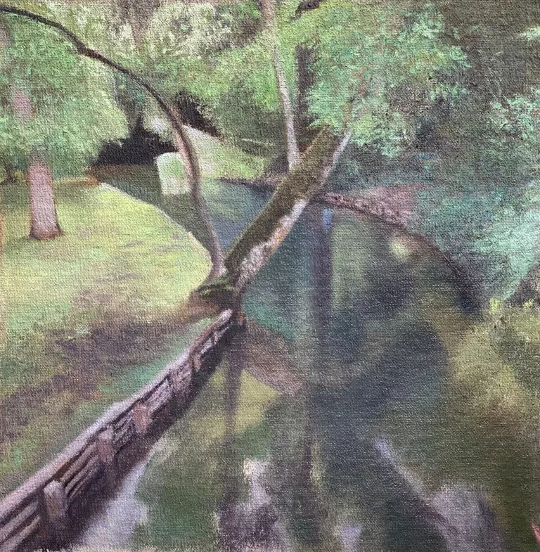 צייר: רן דיוויס